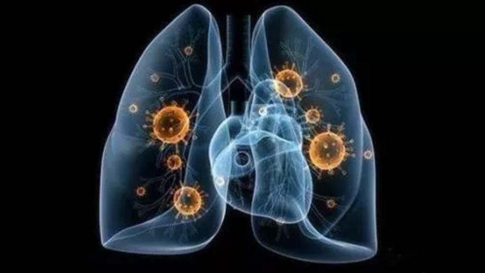 1574847629240872.png 屏幕快照 2019-11-27 下午5.40.17.png